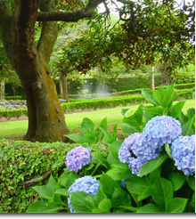 Quinta de Santa Rosa on the island of Sao Miguel, Azores, Portugal,  features three unique Azores rentals for the perfect Azorean Vacation